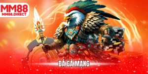 đá gà mạng