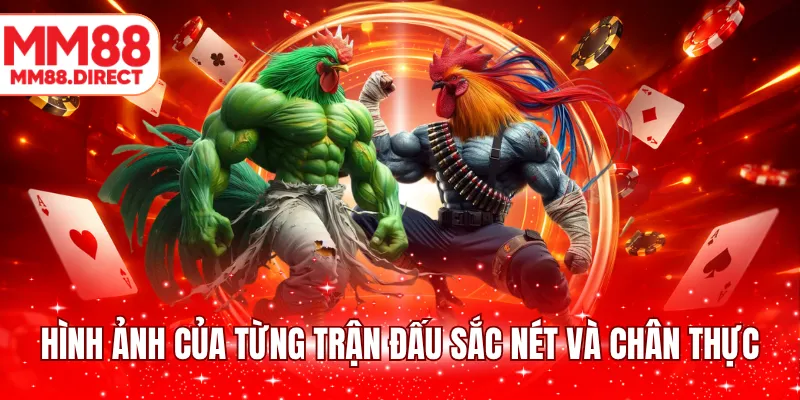 Hình ảnh của từng trận đấu sắc nét và chân thực