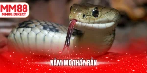 nằm mơ thấy rắn